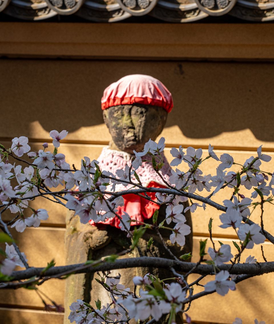上野の公園ー桜 / 32