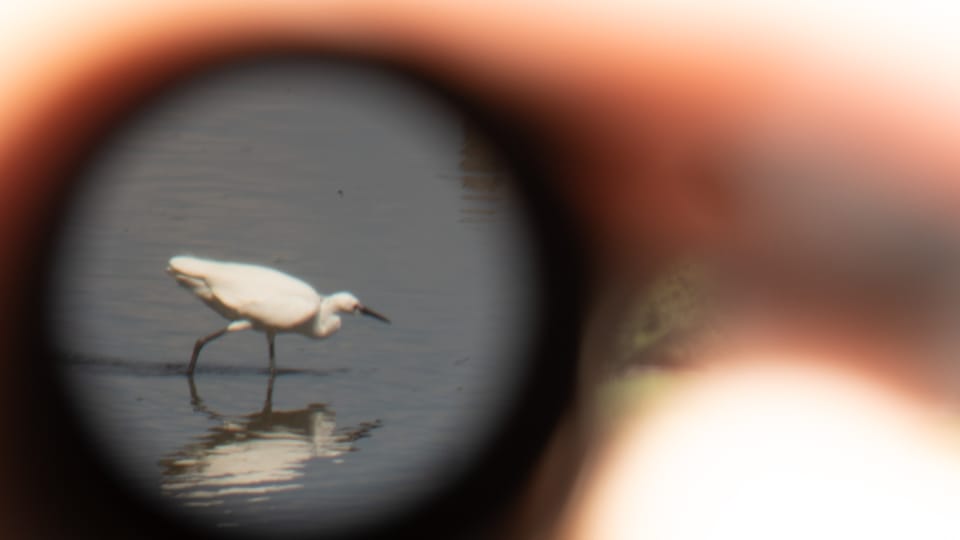 葛西臨海公園 / 01