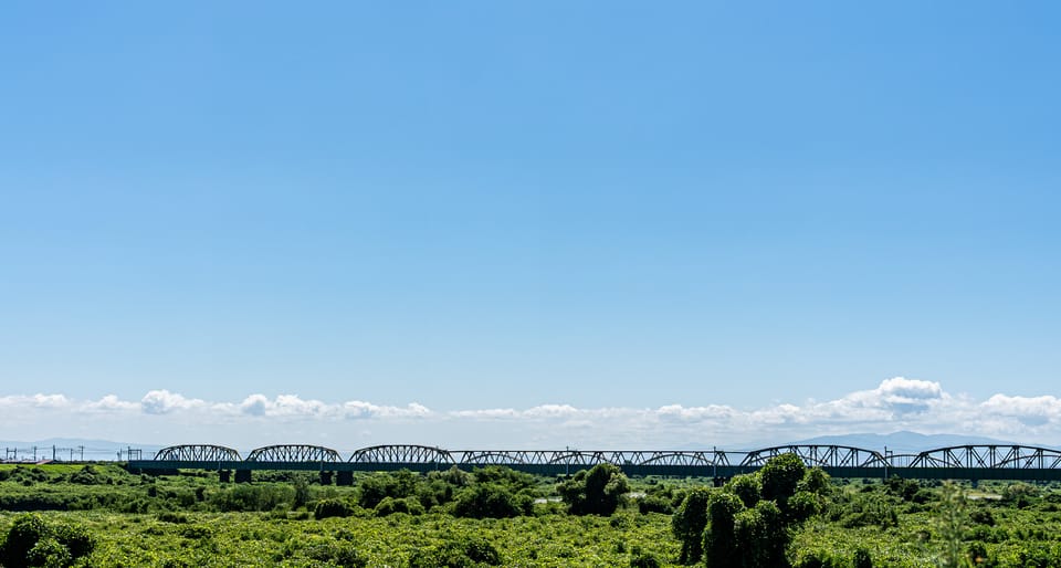 富士川の鉄橋