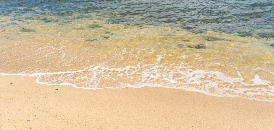 砂浜の波打ち際
