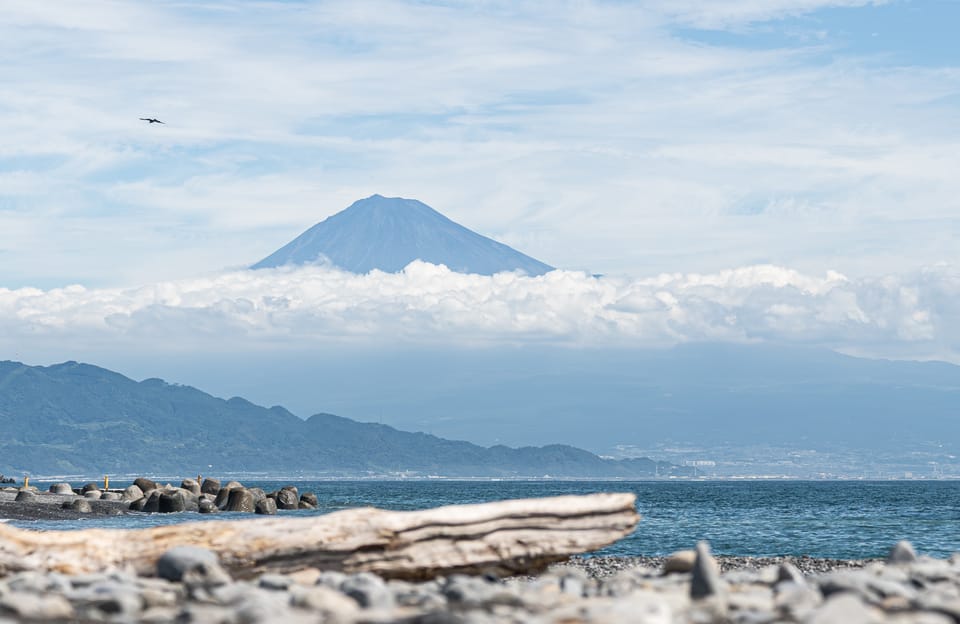 流木と富士山
