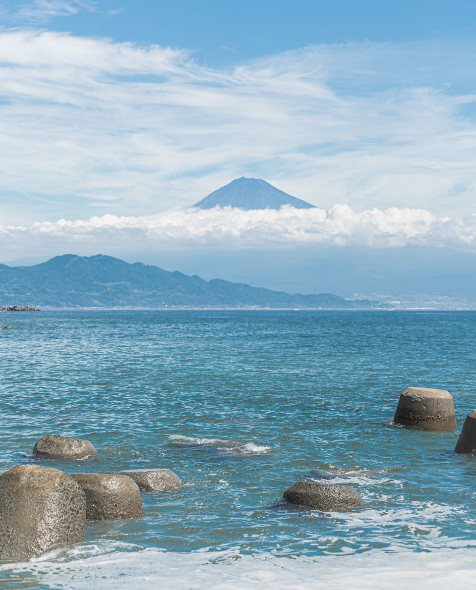 駿河湾