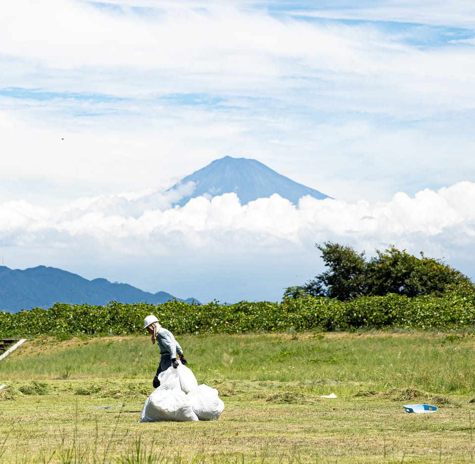 草原の富士山