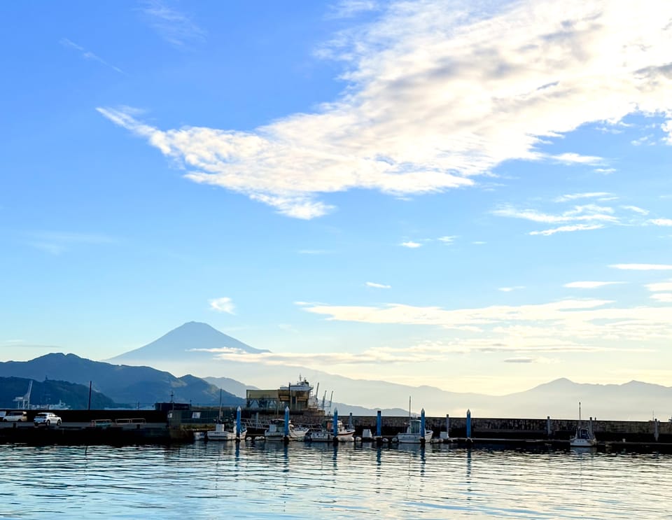 清水港と富士山